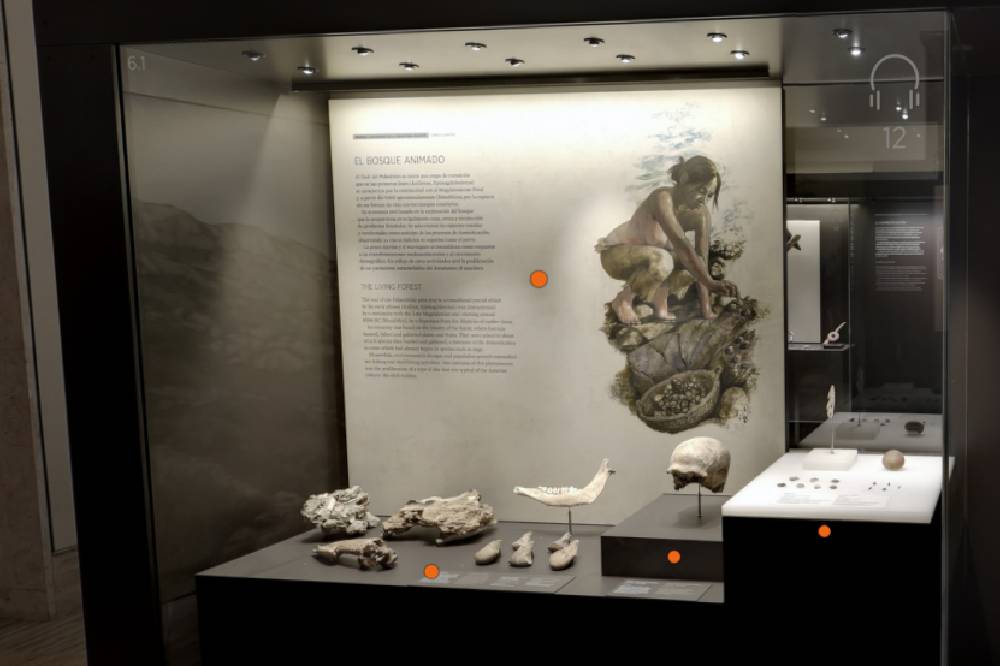 Visita Virtual Museo Arqueológico Madrid