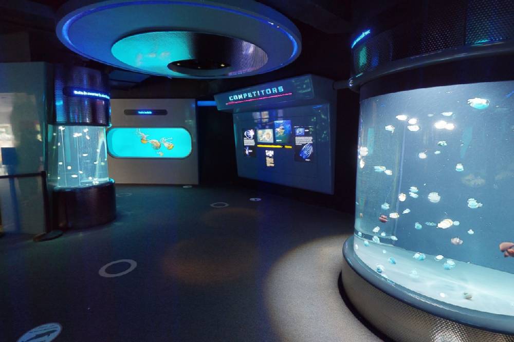 Tour Virtual National Aquarium