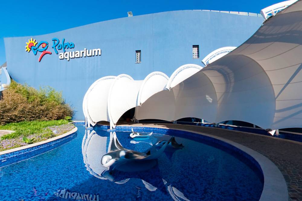 Palma Aquarium Visita Virtual
