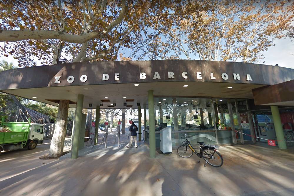 Visita Virtual Zoológico de Barcelona