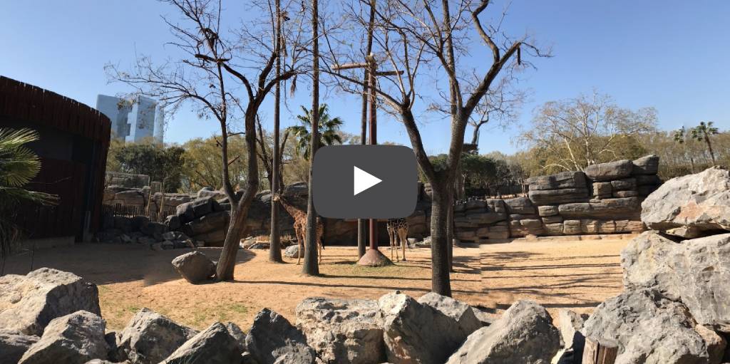 Zoo Barcelona Visita Virtual